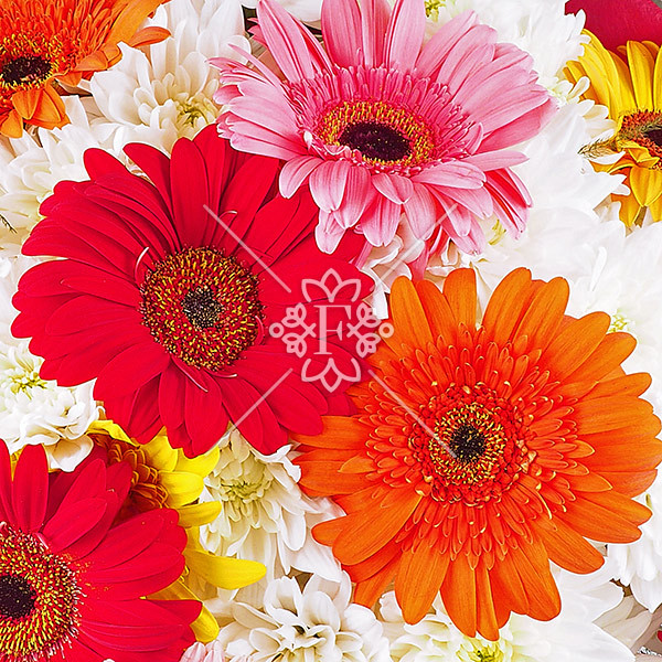 Лови момент! - букет из гербер и хризантем